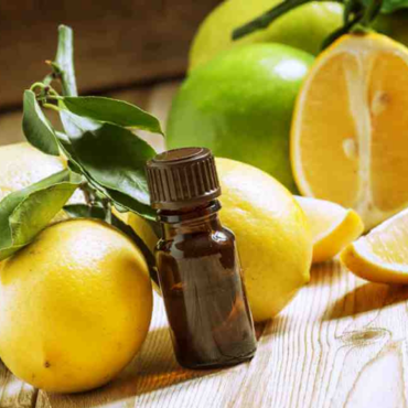 Limone (Citrus limonum) Olio Essenziale – Erboristeria Sauro